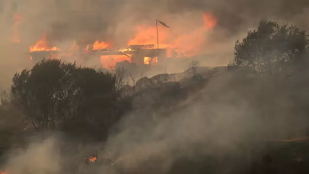 Chile Forest Fire